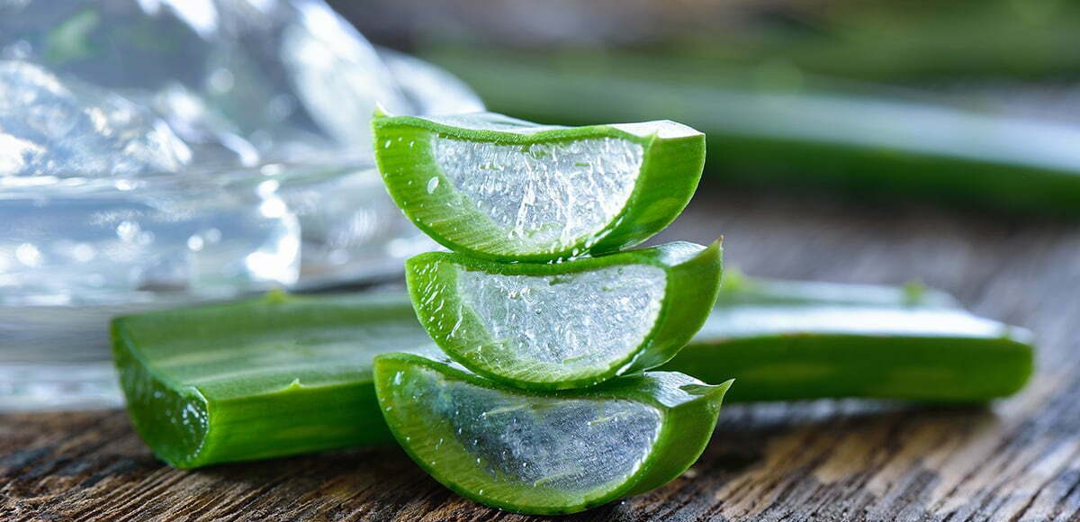 Aloe Vera healing properties, Aloe Vera to moisturize skin
